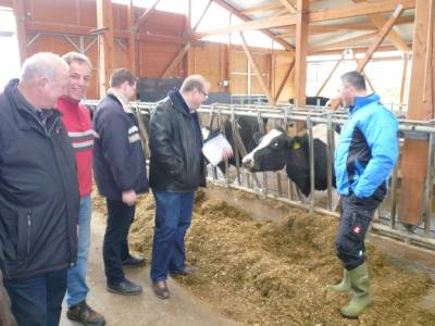 Liebe und neugierige Kuh. Vlnr.: Landtagsabgeordneter Kurt Wiegel, Ortsvorsteher Edgar Merle, Frank Jungk, Bürgermeisterkandidat Stephan Paule, Dirk Steuernagel.